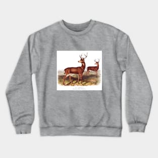 Columbian Black-Tailed Deer Crewneck Sweatshirt